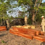 គំនរឈើជាច្រើនដើមត្រូវបានរដ្ឋបាលព្រៃឈើខេត្តព្រះវិហារ​ចុះបង្ក្រាប​មុនពេលដែលឈ្មួញ​បំរុងនឹងដឹកចេញទៅចែកចាយតាមខេត្ត