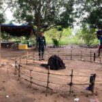 តើសមត្ថកិច្ចពាក់ព័ន្ធស្រុកជីក្រែងមានឆន្ទៈក្នុងការបង្ក្រាបវង់ល្បែងជល់មាន់និងអាប៉ោងពិតប្រាកដ ឬយ៉ាងណា? ឬបានត្រឹមតែបង្អើលដូចពាក្យពលរដ្ឋថាមែននោះ